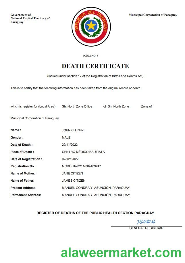 Paraguay death certificate Word and PDF template